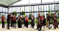 Haydn en Mozart in Zeewolde