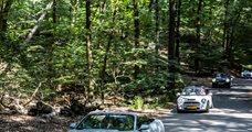 MINI-Events  Veluwe Cabrio Tour ( Alle merken)