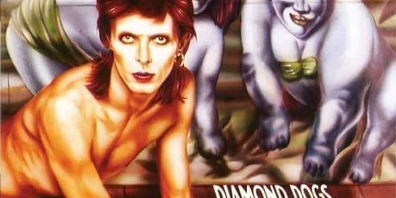 Diamond Dogs @ Huis Verloren 12/1/2025