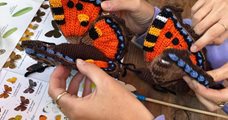 22-06 | Vlindercursus: Stadstuinieren voor meer vlinders
